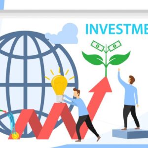 Investment With VVG(Vivid Verse Global)-Substantial investor